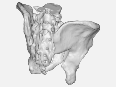 pelvis2male image