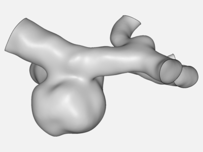 cerebral aneurysm test image