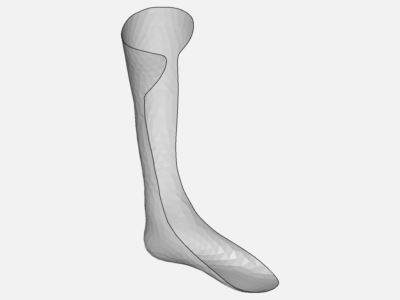 Anke Foot Orthosis image