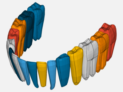 teeth analysis of lower cum image