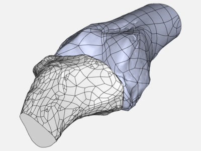 knee joint image