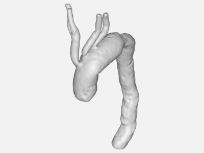 Blood Flow Simulation - Copy image