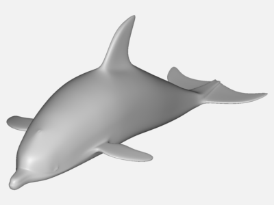 AerodynamicsDolphinProj1 image