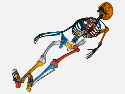 Skeletal Load image