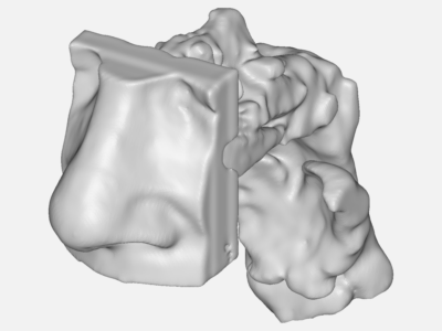 Nasal Simplified image