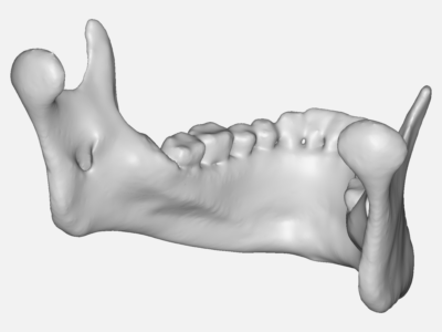 mandible image