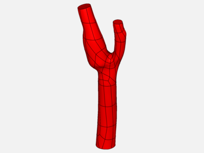 blood flow in coronary artey - Copy image