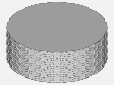 W Medium Stent Adult half run image