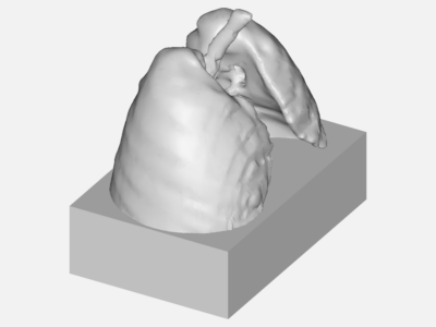 Modeling the movement of spray particles in the respiratory system image