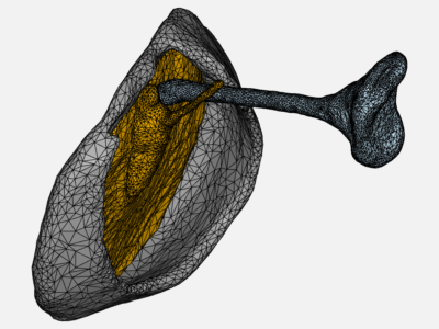 A. tanneri Manuscript - Backup image