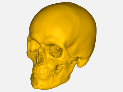 skull image