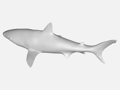 Shark - Copy image