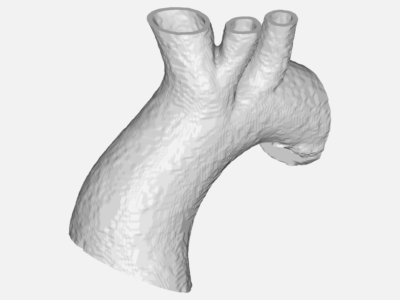 Aorta Hollow image