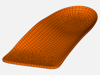 Orthotic Insole image