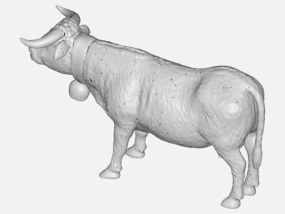 COw cfd image