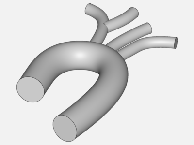 Aorta_Simscale image