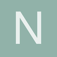 nn_s