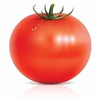 tomatoboyeet